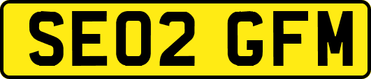 SE02GFM