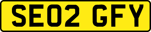 SE02GFY