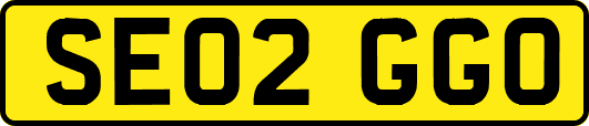 SE02GGO