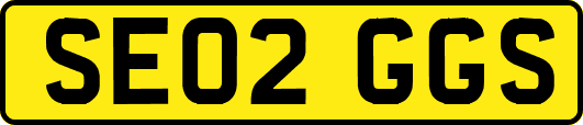 SE02GGS