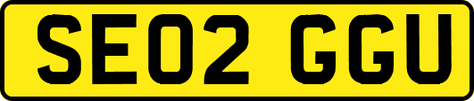 SE02GGU