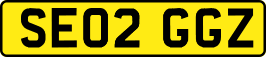 SE02GGZ