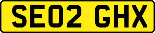 SE02GHX