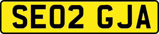 SE02GJA