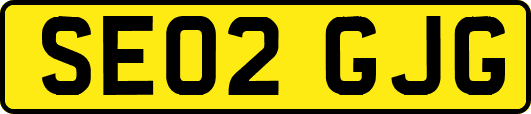 SE02GJG