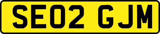 SE02GJM