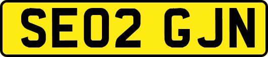 SE02GJN