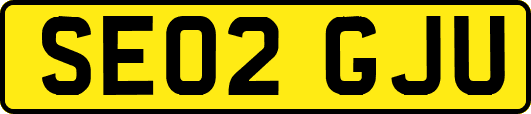 SE02GJU