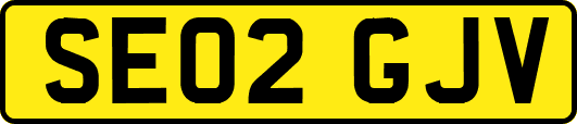 SE02GJV