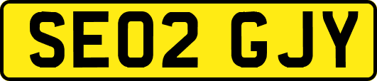 SE02GJY