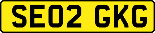 SE02GKG