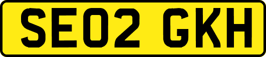 SE02GKH