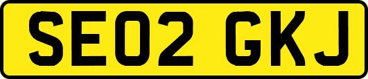 SE02GKJ