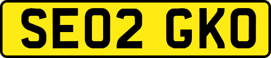 SE02GKO
