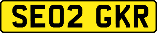 SE02GKR