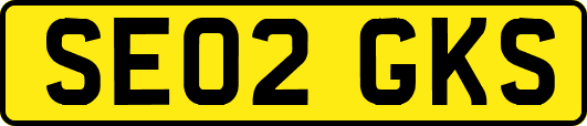 SE02GKS