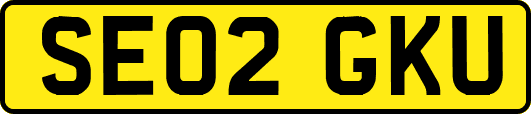 SE02GKU