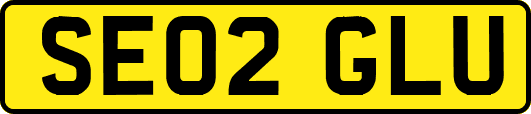 SE02GLU