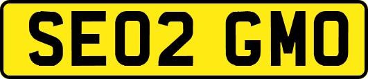 SE02GMO