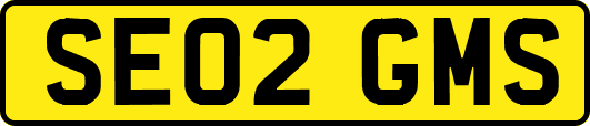 SE02GMS