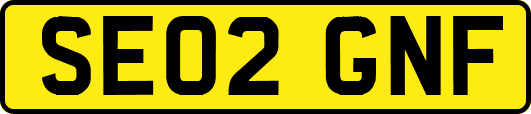 SE02GNF