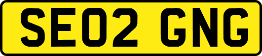 SE02GNG