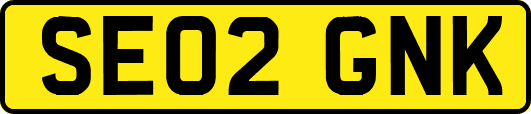 SE02GNK