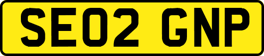SE02GNP