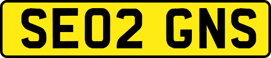 SE02GNS
