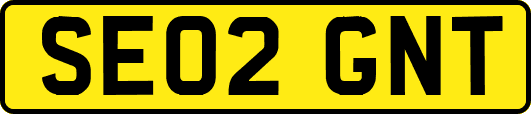 SE02GNT
