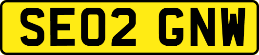 SE02GNW