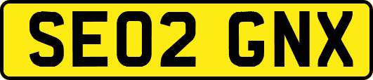 SE02GNX