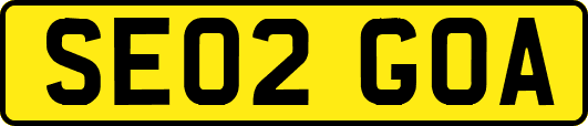 SE02GOA