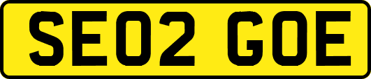 SE02GOE