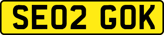 SE02GOK