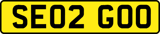 SE02GOO