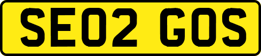 SE02GOS