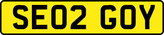 SE02GOY