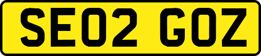 SE02GOZ