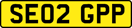SE02GPP