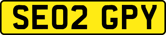 SE02GPY