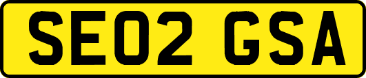 SE02GSA