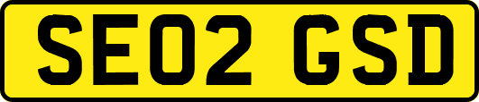 SE02GSD
