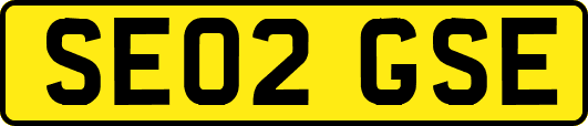 SE02GSE