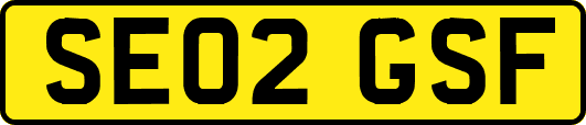 SE02GSF