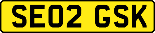 SE02GSK
