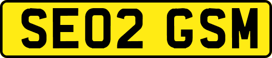 SE02GSM
