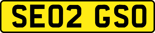 SE02GSO