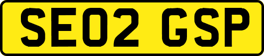 SE02GSP