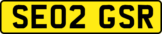SE02GSR
